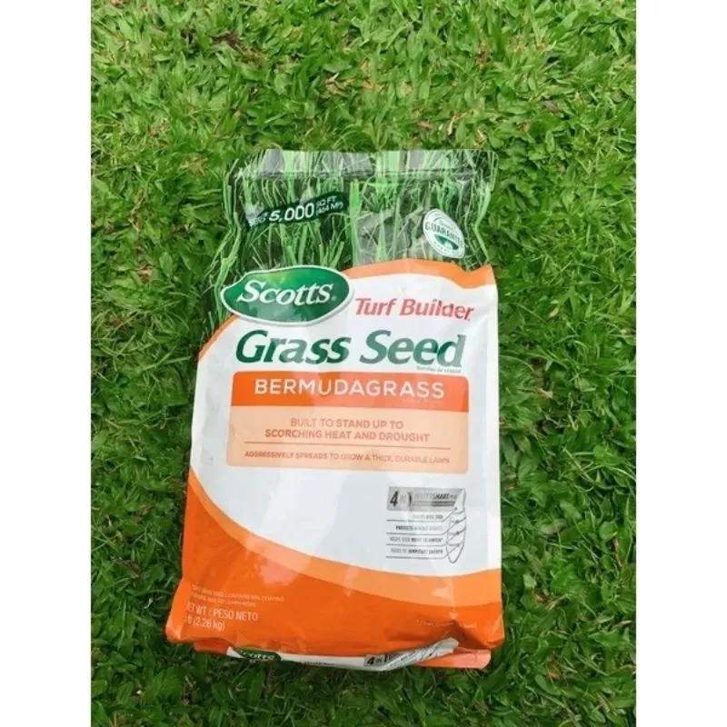 jual benih bermuda grass